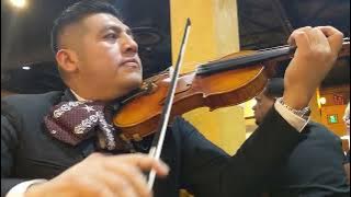 Mujeres Divinas - Mariachi Emperadores De Mexico: Galveston 1 (12-14-2022) @SalsasRestaurant