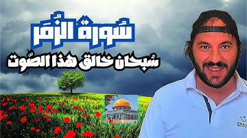 سورة الزمر القارئ حمزة مدبوح يا الله ما احححححلى هذا الصوت تلاوة تهتز لها القلوب قرآن مع القطط