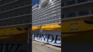 So Big Ship 🤯 #wonderoftheseas #cruises #shorts