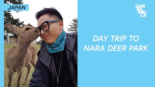 a trip to nara deer park in japan