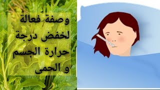 عشبة المخينزة المغربي تعالج الحمى بسرعة للصغار و الكبار!