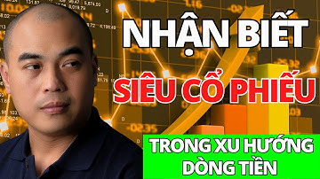 Cách Nhận Biết Siêu Cổ Phiếu Trong Xu Hướng Dòng Tiền – Bật Mí Từ Những Nhà Đầu Tư Thành Công