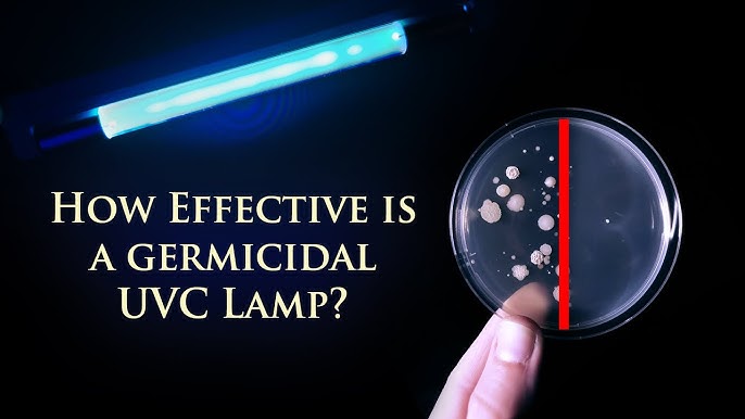 UV effects on bacteria time-lapse