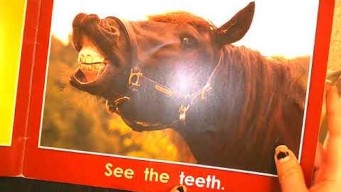 Unit 2 Week 3 Day 3 Readers Workshop