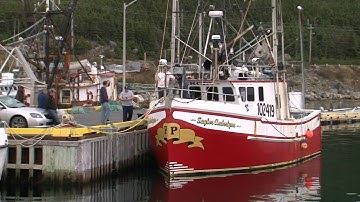 irish descendants go to sea no more