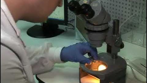 The structural analysis of large protein complexes through mass spectrometry