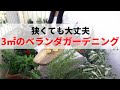 【狭小３㎡ベランダガーデニング】小さなバルコニー菜園に野菜とハーブを。細長プランターに苗植え。ベランピングや家庭菜園は狭くてもできる！初心者の方でも簡単に♪