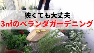 【狭小３㎡ベランダガーデニング】小さなバルコニー菜園に野菜とハーブを。細長プランターに苗植え。ベランピングや家庭菜園は狭くてもできる！初心者の方でも簡単に♪