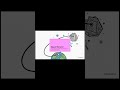 What If We Built a Space Elevator? #Shorts #Shorts