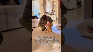 Rescue Pups Adorable Reaction to Her Favorite Human Coming Home