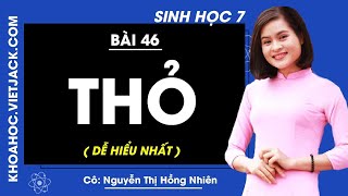 Giải Bài Tập Sinh Học 7 – Bài 46: Thỏ