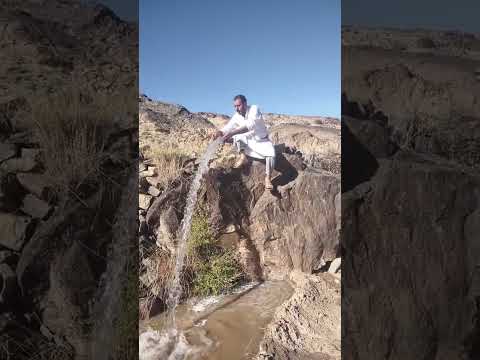 غيمان والمياه النقيه اكسبلور اليمن الحبيب الحاوري تقليدساخر محبوط المشيشي Animals جويتي 
