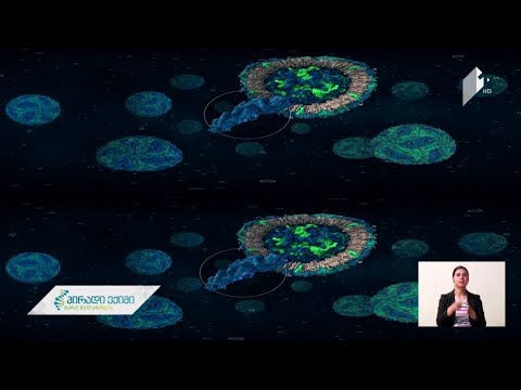 ორგანიზმში ანტისხეულების არსებობის რისკები - კალიფორნიის უნივერსიტეტის კვლევა