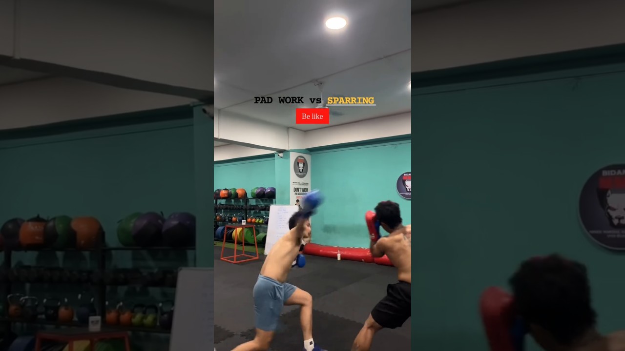 Funny padding vs sparring 🤣🤣 #punjabisong #newsong #trending #boxing #funny #funnyvideo
