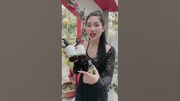 Giảm gãy rụng, phục hồi tóc hư tổn từ gốc đến ngọn! #shorts  #shortvideo  #short