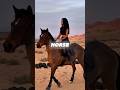 ChrisGG33 Horse and Dog #gg33