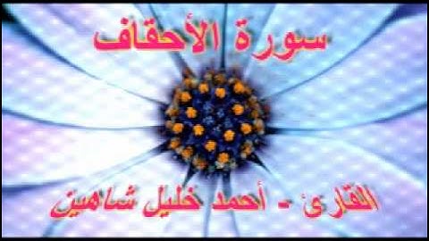 أحمد خليل شاهين - سورة الأحقاف