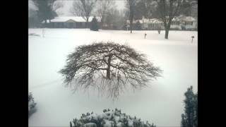 Snow Feb 16 2015 Timelapse