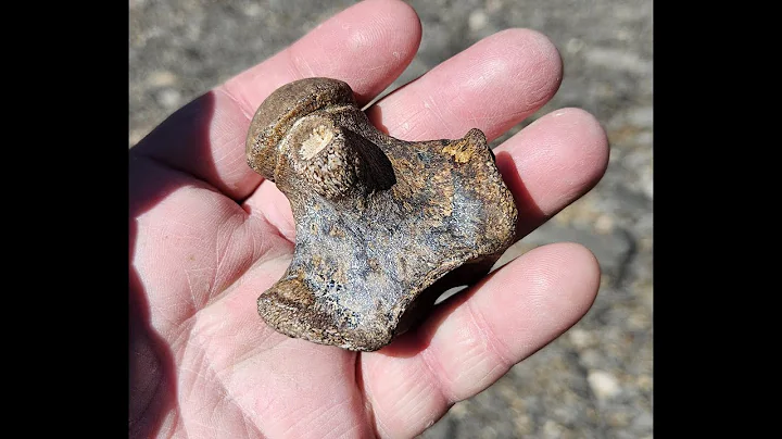 EPISODE 175: Just the Bare Bones of a Hunt!