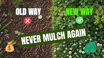 I Replaced Mulch With THIS — And My Soil TRANSFORMED!|Living Ground Cover Guide for Thriving Gardens
