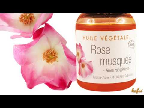 Vidéo: Rose Musquée Ridée