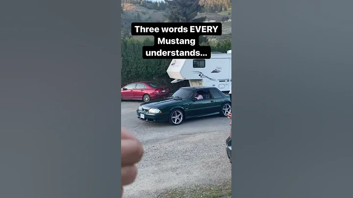 Three Words EVERY Foxbody Mustang 5.0 Understands...