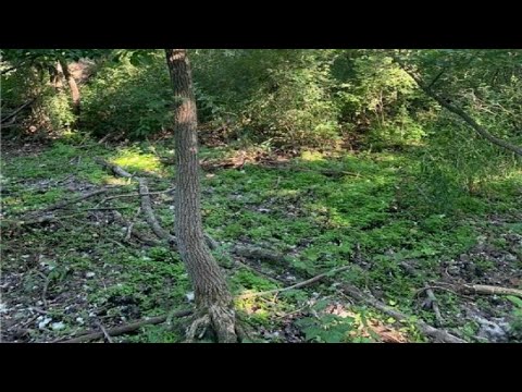 827 NW 15th Avenue, Willmar, MN home video tour