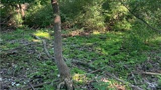 827 NW 15th Avenue video tour