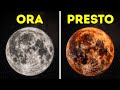 Scoperte scientifiche che sembrano un'anomalia della realtà