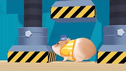 ‎‎Hamster Maze - All Levels Gameplay Android, iOS