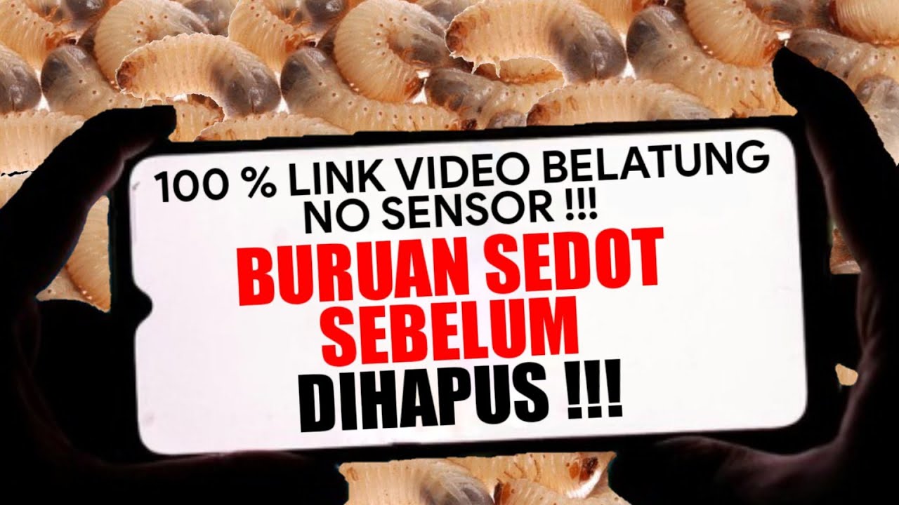 No Sensor‼️ Link V4g1n4 Belatung Viral TikTok, Buruan Sedot - YouTube