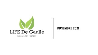 Avance de Obra - Life de Gaulle - mes de diciembre 2021