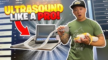 ULTRASOUNDING-BALL PYTHON BREEDING #ballpythons #snakes