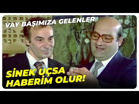 Burayı Soyacak Adam! | Vay Başımıza Gelenler - Zeki & Metin Eski Türk Filmi