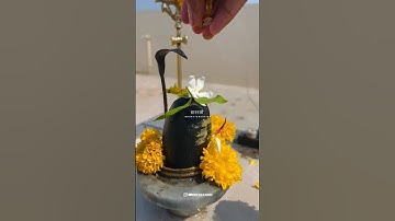 Mahadev Status Video ✨Bholenath Video ☘️🩵#youtubeshorts #shorts #bholenathmahadev