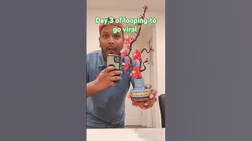 Day 3 of looping to go viral #loop #loop #funny #seamlessloop #viralvideo #days #youtube #short