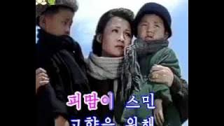 DPRK 8 11 사랑은 내조국에 증오는 원쑤에게 Love to my Fatherland and Hate the Enemy