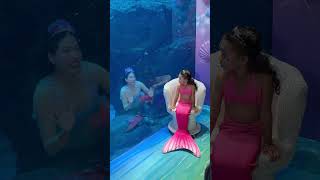 Haan Ji Bilkul Pyaar Seedha Dil Pe Vaar