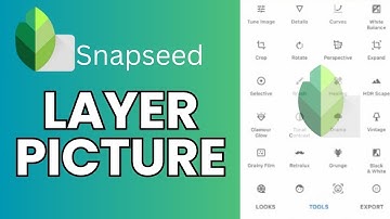 How to Layer Pictures in Snapseed 2024?