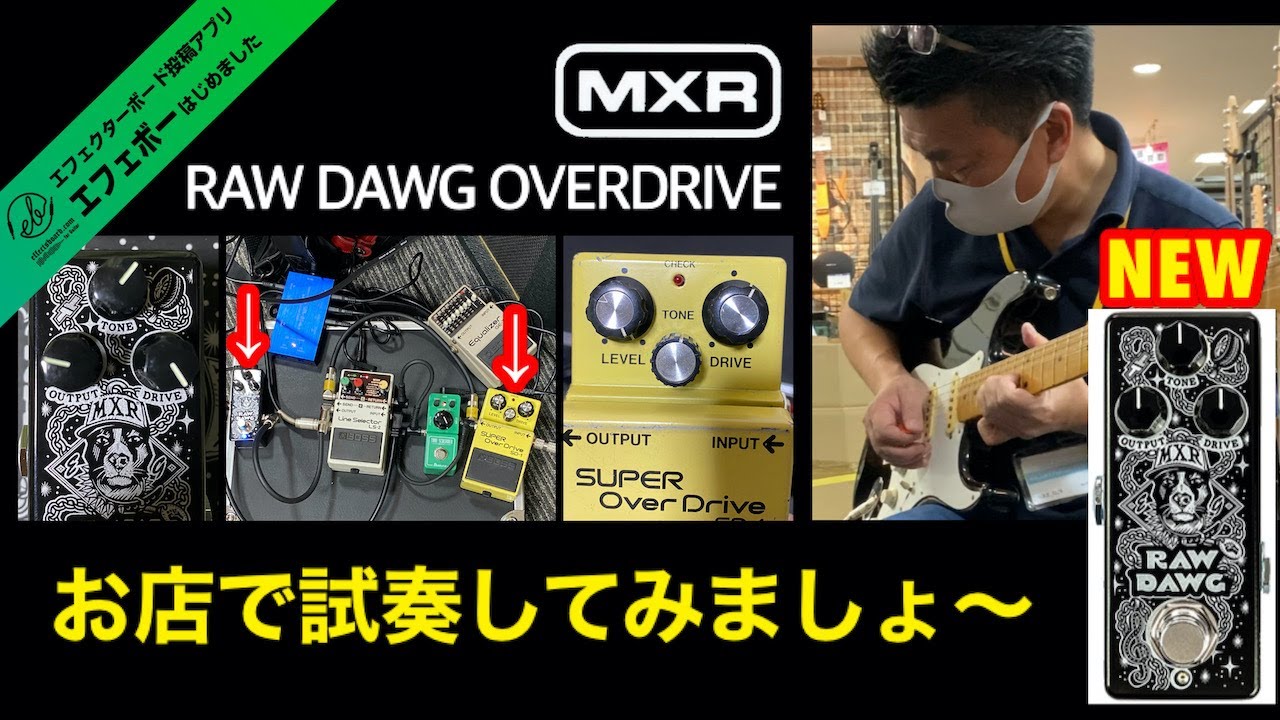 MXRの新製品を弾いてみた♪ エフェボーチャンネル Vol.1429 - YouTube