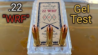 .22 WRF Ballistic Gel Test & Review - 22 Winchester Rimfire