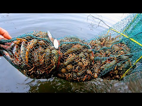 По МЕШКУ Раков в КАЖДОЙ Раколовке + ЩУКА - это Просто ЖЕСТЬ...! Закрытие Весеннего Сезона!!