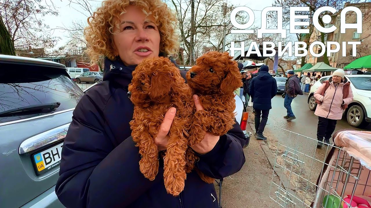 СОБАЧИЙ Базар в ОДЕССЕ! ЦЕНЫ на ДОМАШНИХ ЖИВОТНЫХ! Разные Породы СОБАК и КОШЕК! #одессанаизнанку 