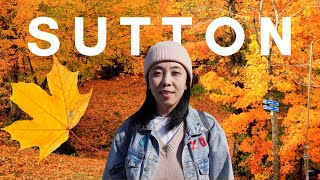 旅游Vlog|  加拿大魁北克秋季最佳赏枫地—SUTTON小镇，好景好吃好玩好逛，一日游必打卡之地。