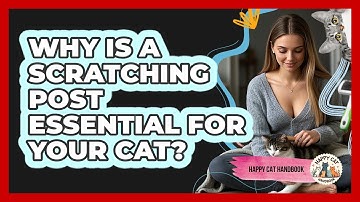 Why Is A Scratching Post Essential For Your Cat? - Happy Cat Handbook