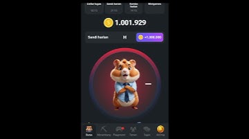 Hamster Kombat Daily Cipher Code 30 August | Game Hamster Kombat