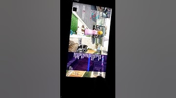 Jiggy mod menu in use!