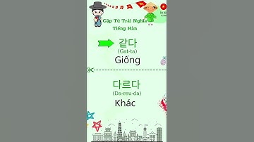 Các cặp từ trái nghĩa hay dùng trong tiếng Hàn! #tienghan #koreanlanguage #hoctienghan