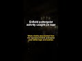 Enfield poltergeist activity caught on tape #Shorts