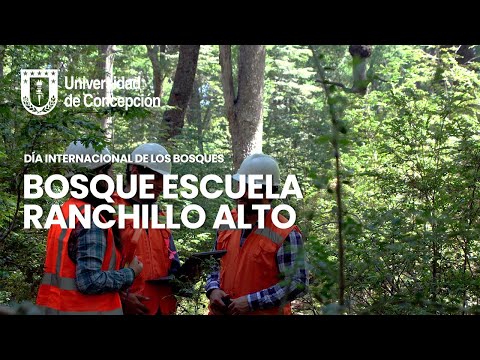 #ComunidadUdeC: Bosque Escuela Ranchillo Alto #ComunidadUdeC: Bosque Escuela Ranchillo Alto
